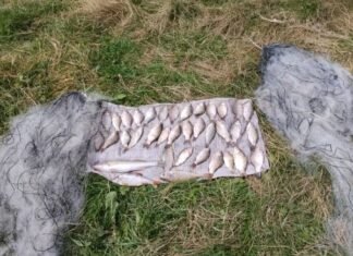 Двома сітками впіймав 35 рибин: на Чернігівщині затримали браконьєра