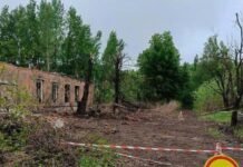 На Чернігівщині російський обстріл завдав довкіллю збитків на понад 2 млн гривень