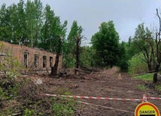 На Чернігівщині російський обстріл завдав довкіллю збитків на понад 2 млн гривень