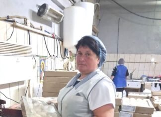 Досвід, який цінують: жителька Чернігівщини у 53 роки повернулася на улюблену роботу