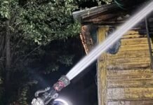 У пожежі на Чернігівщині загинула власниця будинку