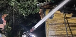 У пожежі на Чернігівщині загинула власниця будинку