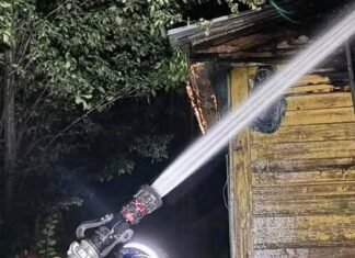 У пожежі на Чернігівщині загинула власниця будинку