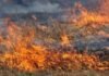 Пожежа сухостою на Прилуччині: літню людину з опіками ІІІ ступеня госпіталізували