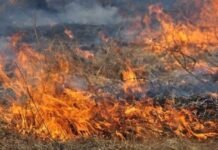 Пожежа сухостою на Прилуччині: літню людину з опіками ІІІ ступеня госпіталізували