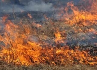 Пожежа сухостою на Прилуччині: літню людину з опіками ІІІ ступеня госпіталізували