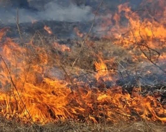 Пожежа сухостою на Прилуччині: літню людину з опіками ІІІ ступеня госпіталізували