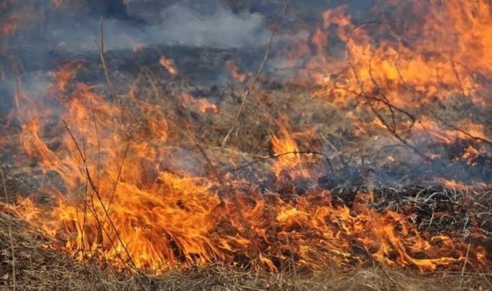 Пожежа сухостою на Прилуччині: літню людину з опіками ІІІ ступеня госпіталізували