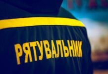 Три пожежі за день: у Чернігові горіли авто та сміття на відкритих територіях