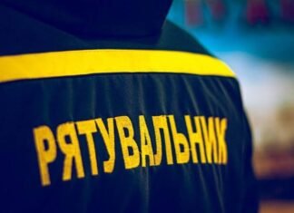 Три пожежі за день: у Чернігові горіли авто та сміття на відкритих територіях