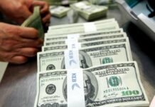 Фінансова підтримка для підприємців Чернігівщини: як отримати до 20 тисяч доларів