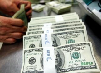 Фінансова підтримка для підприємців Чернігівщини: як отримати до 20 тисяч доларів