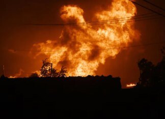 У Європі масштабні лісові пожежі знищили понад 17 тисяч гектарів землі