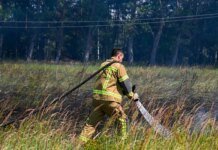 Рятувальники ліквідували пожежу лісової підстилки в Чорнобильській зоні