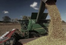На Кубані офіційно визнали дефіцит пального в розпал жнив — влада рф просить збільшити постачання дизеля