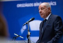 Президент Угорщини підписав конституційні зміни про своє усунення з посади