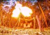 На фронті за добу відбулося 193 боєзіткнення — ворог найбільше атакував на Слов’янському напрямку