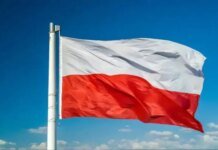 Понад 75% поляків негативно оцінили діяльність Володимира Зеленського — опитування