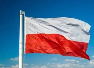 Понад 75% поляків негативно оцінили діяльність Володимира Зеленського — опитування