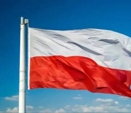 Понад 75% поляків негативно оцінили діяльність Володимира Зеленського — опитування