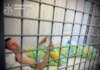 Організатор заходу зі збройовою виставкою під Києвом, де від удару рф загинуло 10 людей, отримав підозру — Генпрокурор