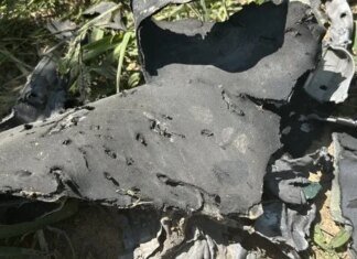 Український експерт долучиться до розслідування падіння ракети у Польщі