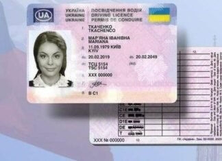 Крок до безпеки та європейських стандартів: у сервісних центрах МВС розповіли про нові терміни дії посвідчень водія та на що варто звернути увагу