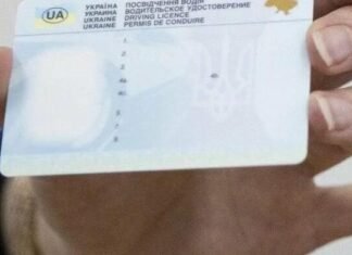 Посвідчення водія в Україні видаватимуть за європейськими стандартами: що зміниться