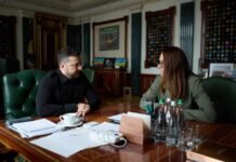 Свириденко уходит в отставку: что может возглавить премьер