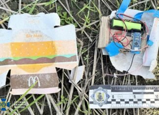 Замаскувала вибухівку під бургер: на блокпості у Чернігові затримали жінку