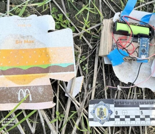 Замаскувала вибухівку під бургер: на блокпості у Чернігові затримали жінку