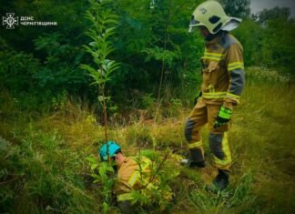 Впало та не могло вибратися: на Чернігівщині з глибокої ями витягли козеня