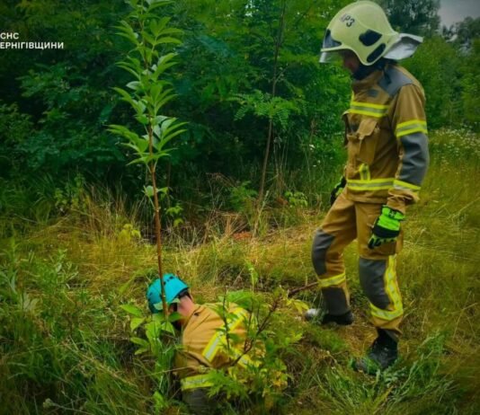 Впало та не могло вибратися: на Чернігівщині з глибокої ями витягли козеня