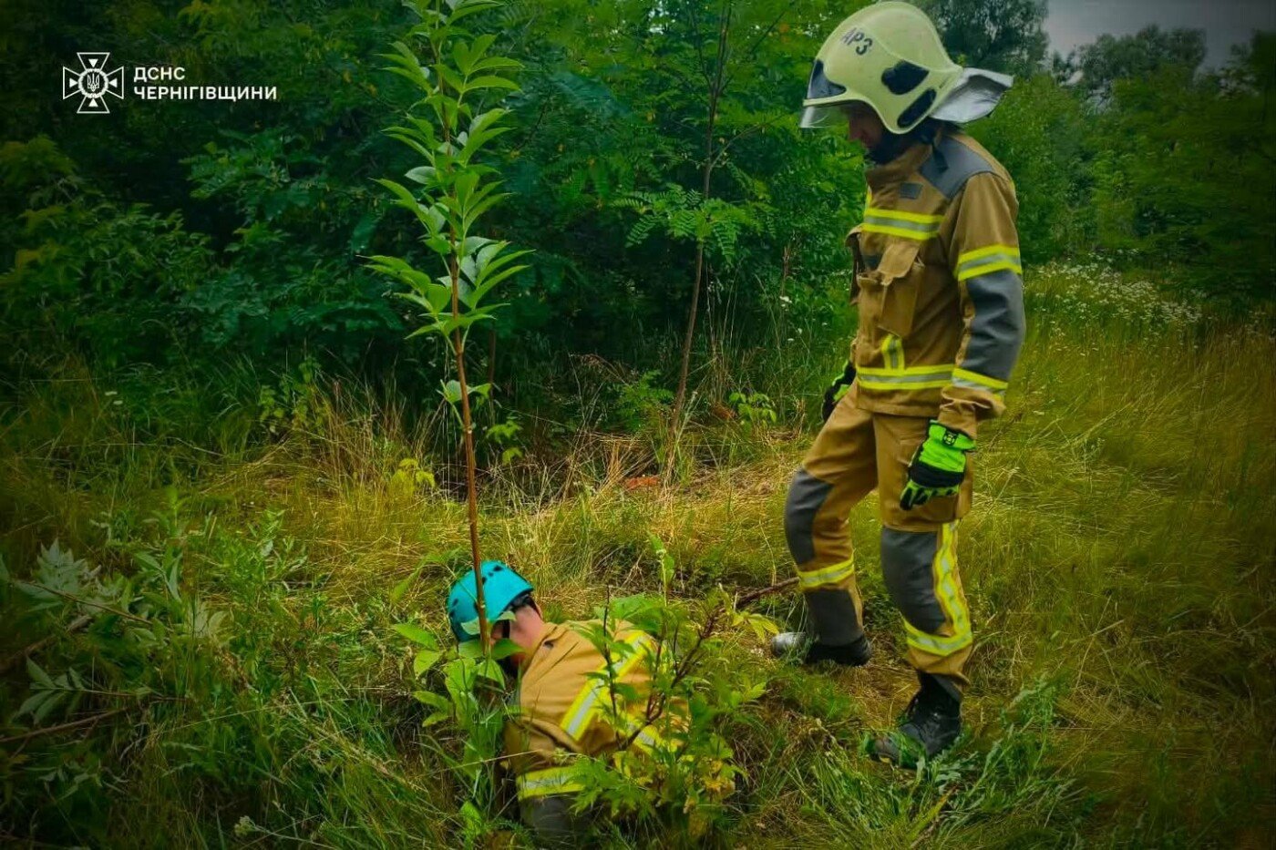Впало та не могло вибратися: на Чернігівщині з глибокої ями витягли козеня