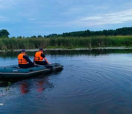 Знайшли тіло старшого хлопця: на Чернігівщині потонули двоє братів