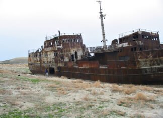 Высыхание Аральского моря привело к неожиданным последствиям: однако все можно исправить (фото)