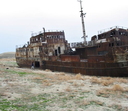 Высыхание Аральского моря привело к неожиданным последствиям: однако все можно исправить (фото)