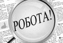 151 грант на власну справу та майже 4 тисячі працевлаштованих: підсумки роботи служби зайнятості на Чернігівщині за пів року