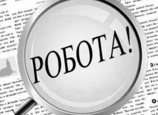 151 грант на власну справу та майже 4 тисячі працевлаштованих: підсумки роботи служби зайнятості на Чернігівщині за пів року