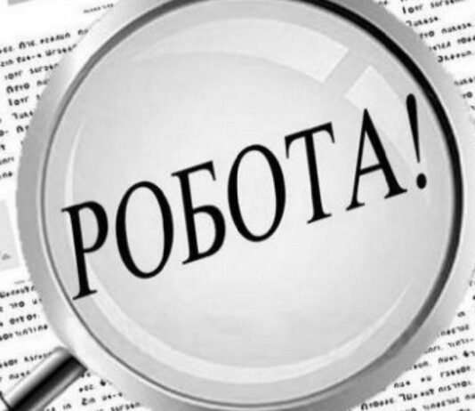 151 грант на власну справу та майже 4 тисячі працевлаштованих: підсумки роботи служби зайнятості на Чернігівщині за пів року