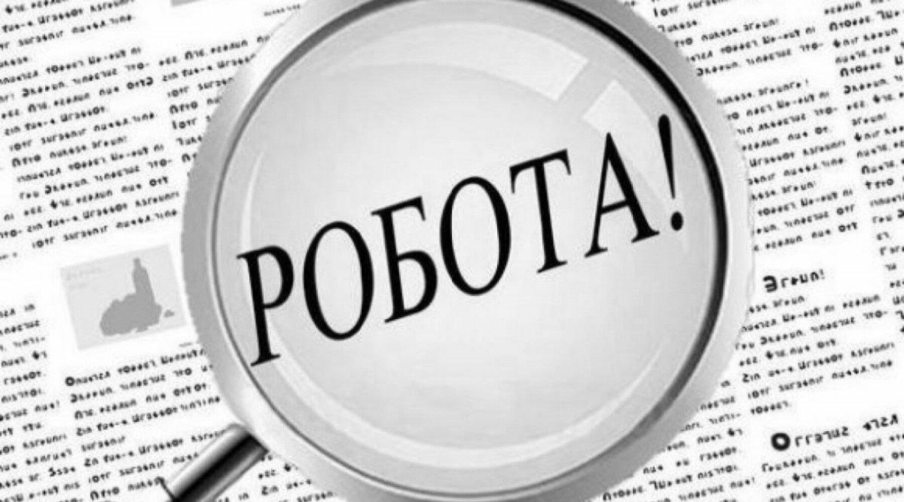 151 грант на власну справу та майже 4 тисячі працевлаштованих: підсумки роботи служби зайнятості на Чернігівщині за пів року