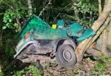 У ДТП на Ніжинщині загинув 22-річний пасажир: неповнолітнього водія затримали