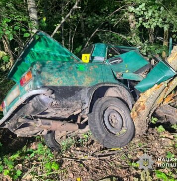 У ДТП на Ніжинщині загинув 22-річний пасажир: неповнолітнього водія затримали