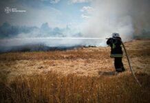 На Чернігівщині за добу сталося 10 пожеж: більшість – через бойові дії