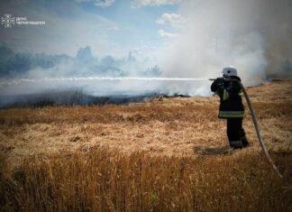 На Чернігівщині за добу сталося 10 пожеж: більшість – через бойові дії