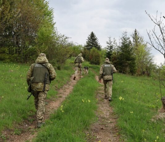 Угроза наступления РФ с севера: Украина быстро и эффективно возводит новые линии укреплений (фото)