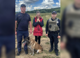 Кінологи ДСНС розшукали дитину, яка зникла неподалік Чернігова