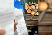 Дві вантажівки з деревиною без належних документів зупинили у Чернігові