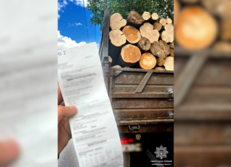 Дві вантажівки з деревиною без належних документів зупинили у Чернігові
