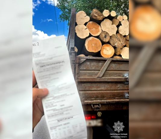Дві вантажівки з деревиною без належних документів зупинили у Чернігові